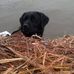 Profile Picture of Brian Zink (@brian.zink.12) on Facebook