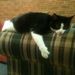 Profile Picture of De Francis (@DJFrancis) on Pinterest