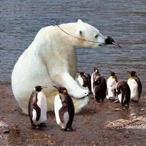 Profile Picture of Allen Cruise (@allen24136) on Myspace