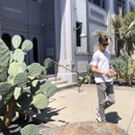Profile Picture of Daniel Topp (@danieltopp) on Instagram
