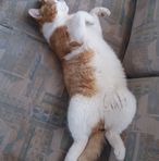 Profile Picture of Daniel Dogaru (@daniel.dogaru.3388) on Facebook