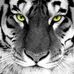Profile Picture of Minds Black (@Minds-Black) on Facebook