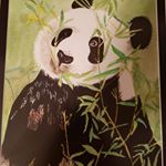 Profile Picture of Eric Howarth (@scubastooge14) on Instagram
