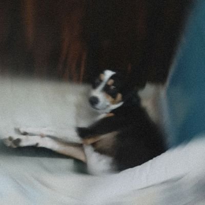 Profile Picture of SWAPNIL SINGH (@hummingskylark) on Twitter