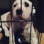 Profile Picture of Finley Michael james lanaway (@zombie_9000) on Instagram