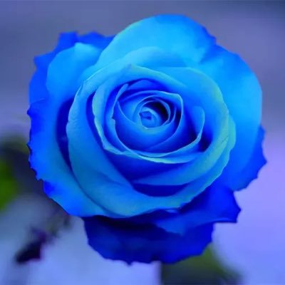 Profile Picture of Ronnie 😇 (@foster_rondell) on Twitter