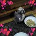Profile Picture of Lorraine McRae (@lorraine.mcrae.716) on Facebook