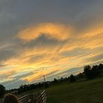 Profile Picture of Andi Finley (@andi._.finley) on Instagram