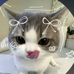Profile Picture of Maham Chaudhry (@maham.ch.90813) on Facebook