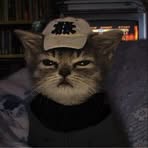 Profile Picture of Michal Cajder (@Michal-Cajder) on Facebook