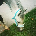 Profile Picture of Miriam_shahin6 (@miriam_shahin6) on Instagram