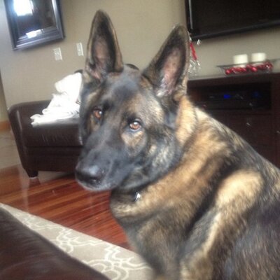 Profile Picture of Gary Gurcsik (@Ggurcsik) on Twitter