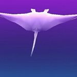 Profile Picture of patrick micheal shehane (@otozander) on Instagram