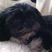 Profile Picture of Jerry Keene (@jerry.keene.737) on Facebook