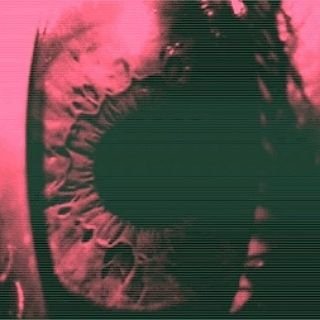 Profile Picture of Corey Jakes (@RandalNicolai) on Twitter