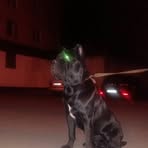 Artem Geyvandov - Facebook Profile Picture of Artem Geyvandov (@artem.geyvandov) on Facebook