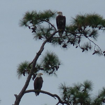 Mary Alice Hinshaw - Twitter Profile Picture of Mary Alice Hinshaw (@MAHinshaw) on Twitter