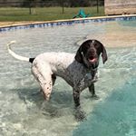 Profile Picture of beau weaver (@beaupro_) on Instagram