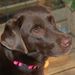 Profile Picture of Michael Pawlyk (@michaelpawlyk) on Pinterest