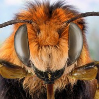 Profile Picture of James Stillwell (@james-stillwell-10) on Quora