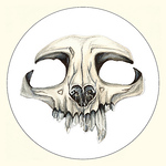 Profile Picture of amanda carlson (@amandarae89) on Flickr