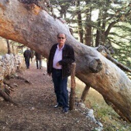 Profile Picture of Joseph   Salloum (@JosephSalloum12) on Twitter