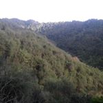 Profile Picture of Kristopher Te Huia Gill (@stonervill344) on Instagram