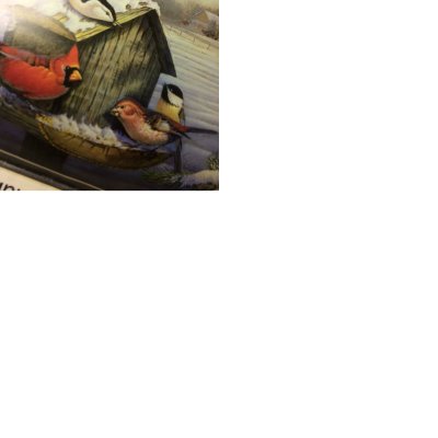 Profile Picture of Kim Gunn Andersen (@andersen_gunn) on Twitter