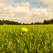 Profile Picture of Daniel Malek (@DanielMalekALevelGeo) on Youtube