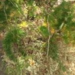 Profile Picture of Devon Newman (@newman.devon) on Instagram