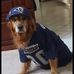 Profile Picture of Wayne Patton (@wayne.patton.18062) on Facebook