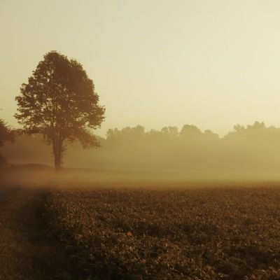 Profile Picture of Steven Hunter Fenley (@WILDFOX1145) on Twitter