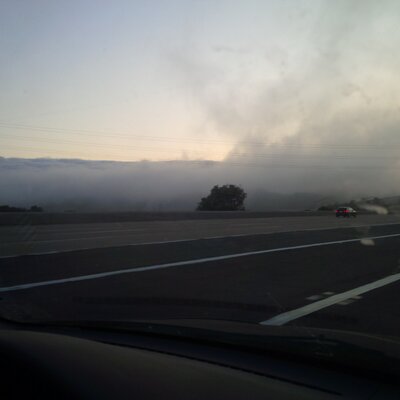 Profile Picture of Paul Kamradt (@plkberry) on Twitter