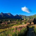 Profile Picture of Sutton (@_kerry_sutton__.wz) on Instagram