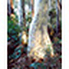 Profile Picture of Stephen Best (@Stephen Best) on Flickr