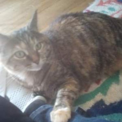 Profile Picture of Brian Bulock Olson (@BrianBulock) on Twitter