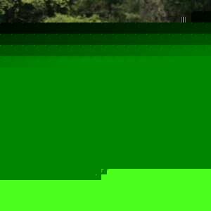 Victor Sanchez-luna - Myspace Profile Picture of Victor Sanchez-luna (@albertson11) on Myspace