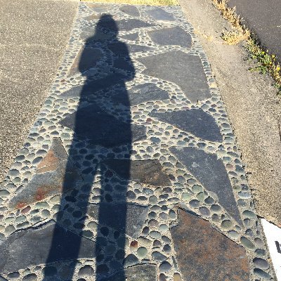 Profile Picture of Lori Saltveit (@lsaltveit) on Twitter