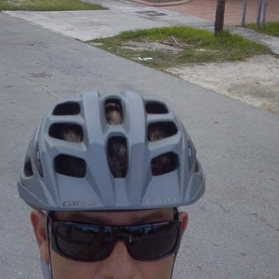 Profile Picture of Michael M. Pszyk III (@m_pszyk) on Twitter