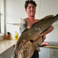 Profile Picture of Andrew Ackerley (@andrewackerley) on Tiktok