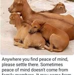 Profile Picture of Martin Weyanga (@martin.weyanga.1) on Facebook