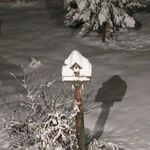 Profile Picture of Kim Pitner (@kimpitner0721) on Instagram