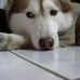 Profile Picture of Paul Lohr (@paul.lohr.9026) on Facebook