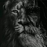 Profile Picture of Abbas Karimi PLY (@abbaskarimiswim) on Instagram