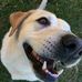 Profile Picture of Terry Vanderpool (@terry.vanderpool.73) on Facebook
