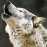 Profile Picture of Robert Staggers (@robstaggers) on Pinterest