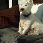 Profile Picture of barry wareham (@barry.wareham) on Instagram