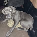 Profile Picture of James Atha (@james.atha.833894) on Facebook