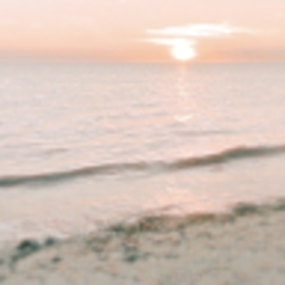 Profile Picture of Quinn Kohlmeier (@quinnk24) on Poshmark