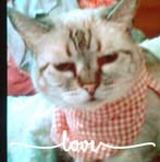 Profile Picture of Tami Armijo (@tami.armijo.3) on Facebook